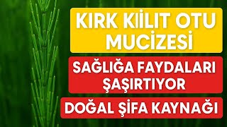 Kirkki̇li̇t Otu Faydalari Nelerdi̇r Kirk Ki̇li̇t Otu Nedi̇r Kirk Ki̇li̇t Otu Nasil Kullanilir