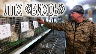 ОБРАЗЦОВО-ПОКАЗАТЕЛЬНЫЙ КРОЛЬЧАТНИК! В ГОСТЯХ У ВИКТОРА!