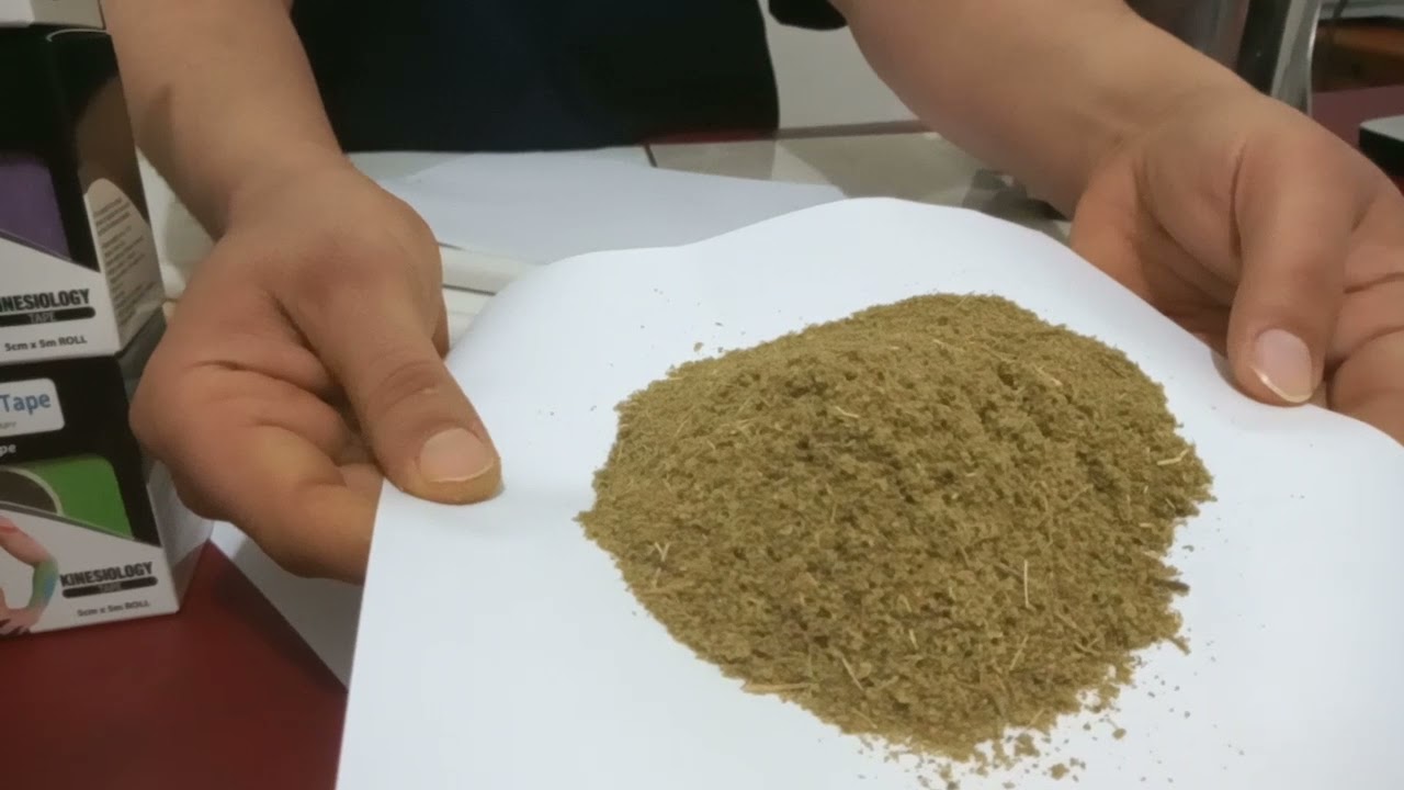 الفيديو الذي ينتظره المعالجين كيف تحضر الموكسا في مركزك وكيف تعالج بها