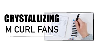 Crystallizing M Curl Fans Storing Handmade Volume Fans