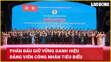 Phấn đấu giữ vững danh hiệu đảng viên công nhân tiêu biểu | Báo Lao Động
