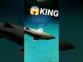 Король Океанариум 😱#youtubeshortsvideo #youtube #amazing