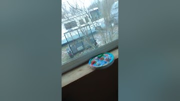 (WWF34) Required Weekly Test (Grand Rapids)