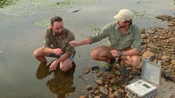 Study Science and Maths at UQ