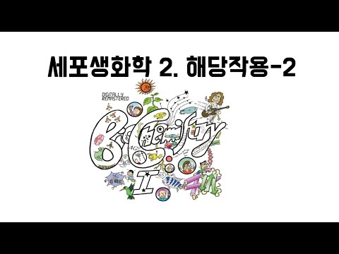 2020 세포생화학 3장 해당작용 2부