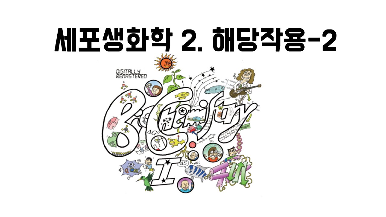 2020 세포생화학 3장 해당작용 2부