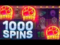 I Tried 1,000 DOG HOUSE SPINS &amp; This is What Happened...