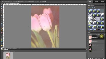 How to use textures and overlays in Photoshop Elements 10