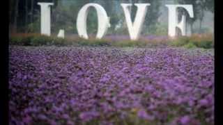Lavender Love - Omar Afuni