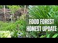 What’s Actually Working in My Food Forest (and What Isn’t)