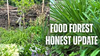 What’s Actually Working in My Food Forest (and What Isn’t)