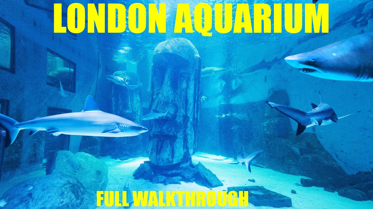 Sea Life London Aquarium Full Walkthrough - walking tour 4k
