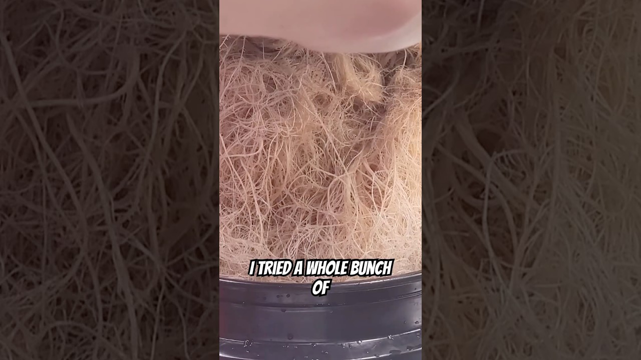 Quick Hydro Bucket Setup