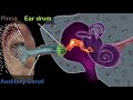 Human ear - structure & working (Hindi) | Physics | Khan Academy