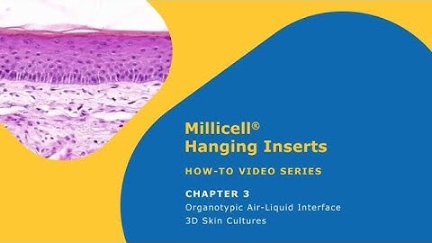 Millicell® Hanging Inserts – How to use – Chapter 3: Organotypic Air-Liquid Interface 3D Skin