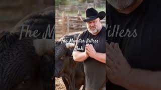 The Monster Killers Ink is founded on biblical principles for victims of crime and violence.