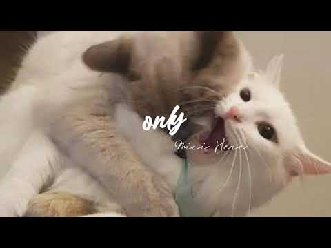 ONLY - lee hi || speed up