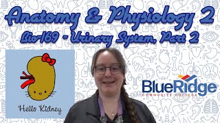 BIO-169: The Urinary System - Chapter 20, Part 2