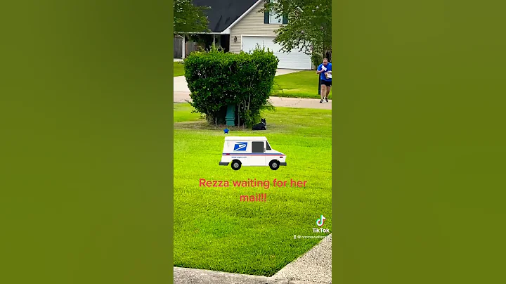 Rezza waiting on the mail! she sadly will  miss he...