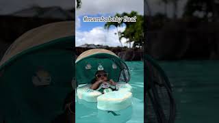 Green Shell MamboFloat: Babys Safe Floating Paradise foryou mambobaby babyfloat babyswimming