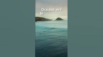 Oceans are Bird Habitat