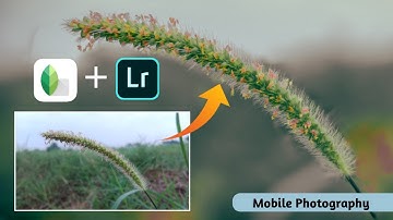 DSLR level mobile photography using Snapseed & Lightroom mobile!