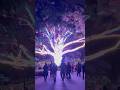 Vivid #sydney #australia #shorts #viralshorts