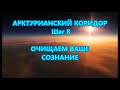 АРКТУРИАНСКИЙ КОРИДОР -  Шаг 8- ОЧИЩАЕМ ВАШЕ СОЗНАНИЕ