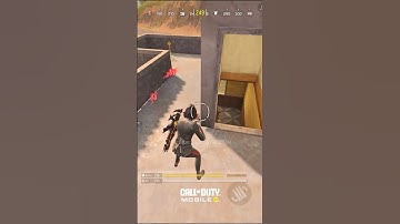 A Chase from FARM Gone Wrong