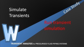 Run Transient Simulation