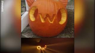 zedivan & kmoe - better wide eyes