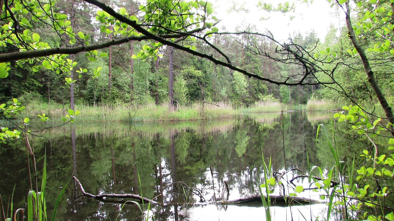 Poezie ranských jezírek