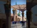🌙Masjid al-Nabawi Shareef in Madinatul Munawwara ✨ #makkahmadina #madeena #nabipakﷺ #fyp #ytshort