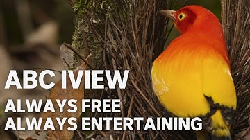 ABC iview: Always Free, Always Entertaining