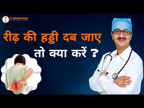 वीडियो: रीढ़ की हड्डी के उदर सींग में?