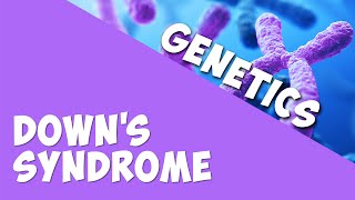Down's Syndrome | Genetics | Biology | AddyESchool