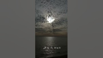 سوره الضحى| بصوت القارئ ياسر الدوسري| حالات واتس آب 🤍🤍.