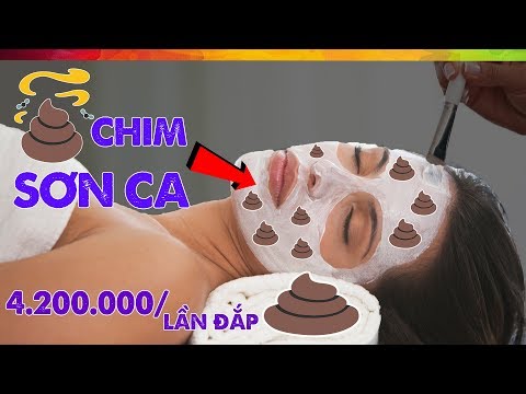 Video: Những sự thật thú vị nhất về phụ nữ