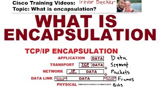 What is encapsulation? Video 19 | Free CCNA Training Videos
