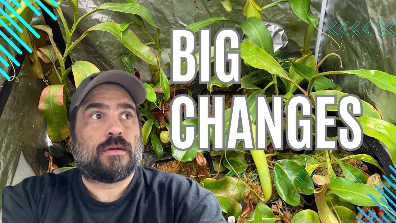 I Changed My Setup And The Results Are Mind Blowing!