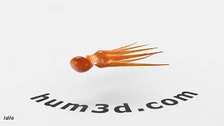 Common Octopus HD Rigged 3D model by Hum3D.com