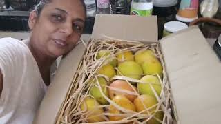 😍Alphonso Mango Maharashtra Ratnagiri❤Hapus Gift By My Loving Sister 💃