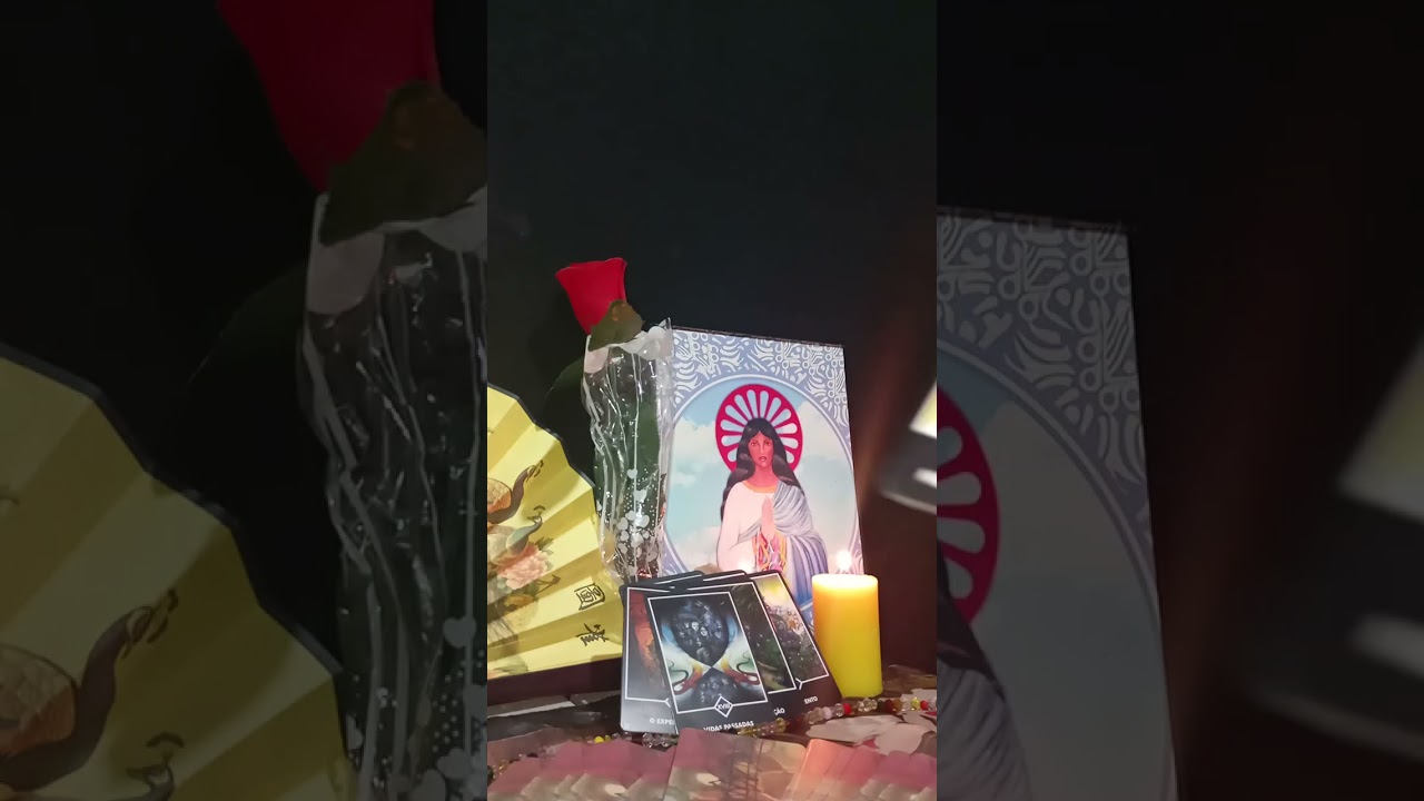 O Despertar da Flor: Sua Mensagem Osho Zen de Hoje 🌱