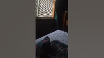 Bio lab dispute proof