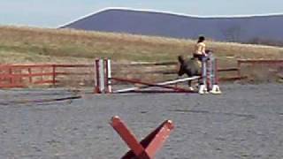 Lexi - English Hackamore - Jumping