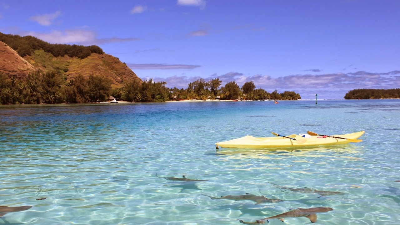 Hydration Happy Hour Winner from 8/21