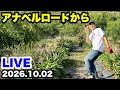 ◆アナベルロードからLIVE配信！秋に向けて！