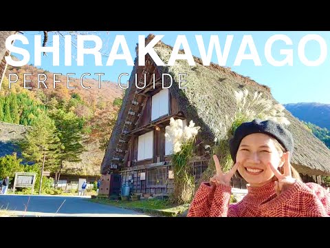 GIFU🇯🇵 World Heritage Village "SHIRAKAWAGO" in Autumn Leaves 🛖🍁 Japan Travel Vlog