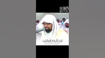 الشيخ ناصر القطامي ابكي الجميع به‍ذة التلاوة 😥❤️||Nasser Al Qatami||