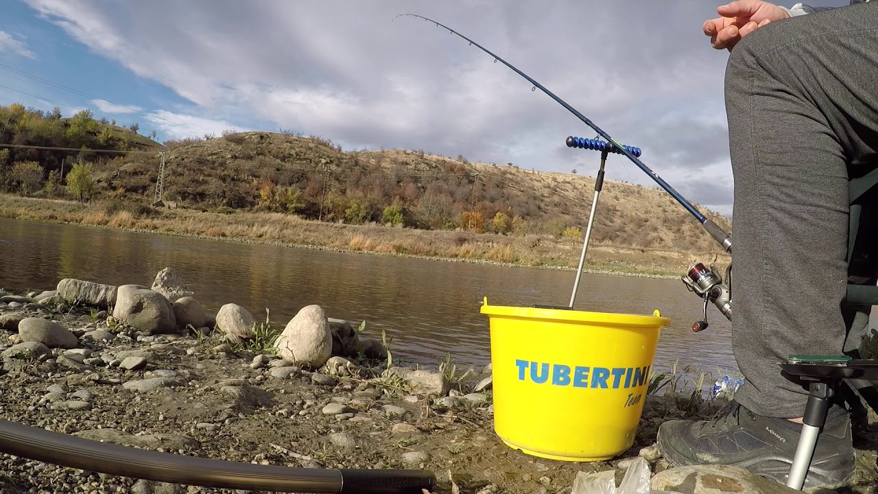 Улов на черна мряна